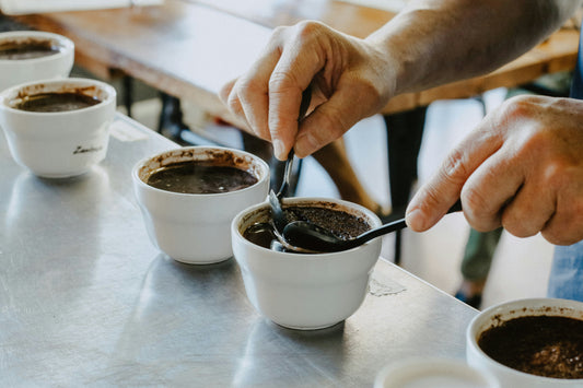 Cupping: Wie Profis Kaffee verkosten