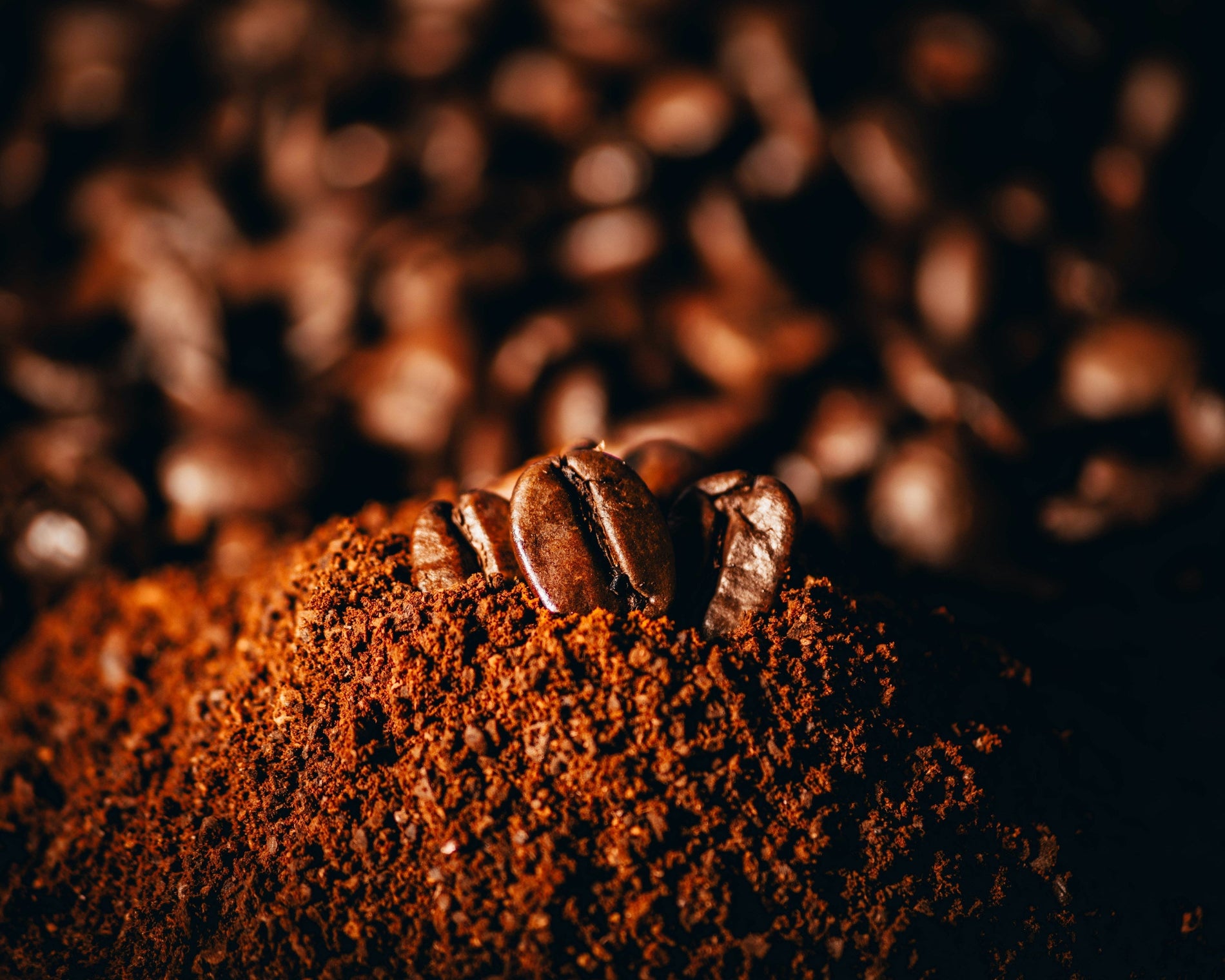Gemahlener Kaffee oder ganze Bohne?