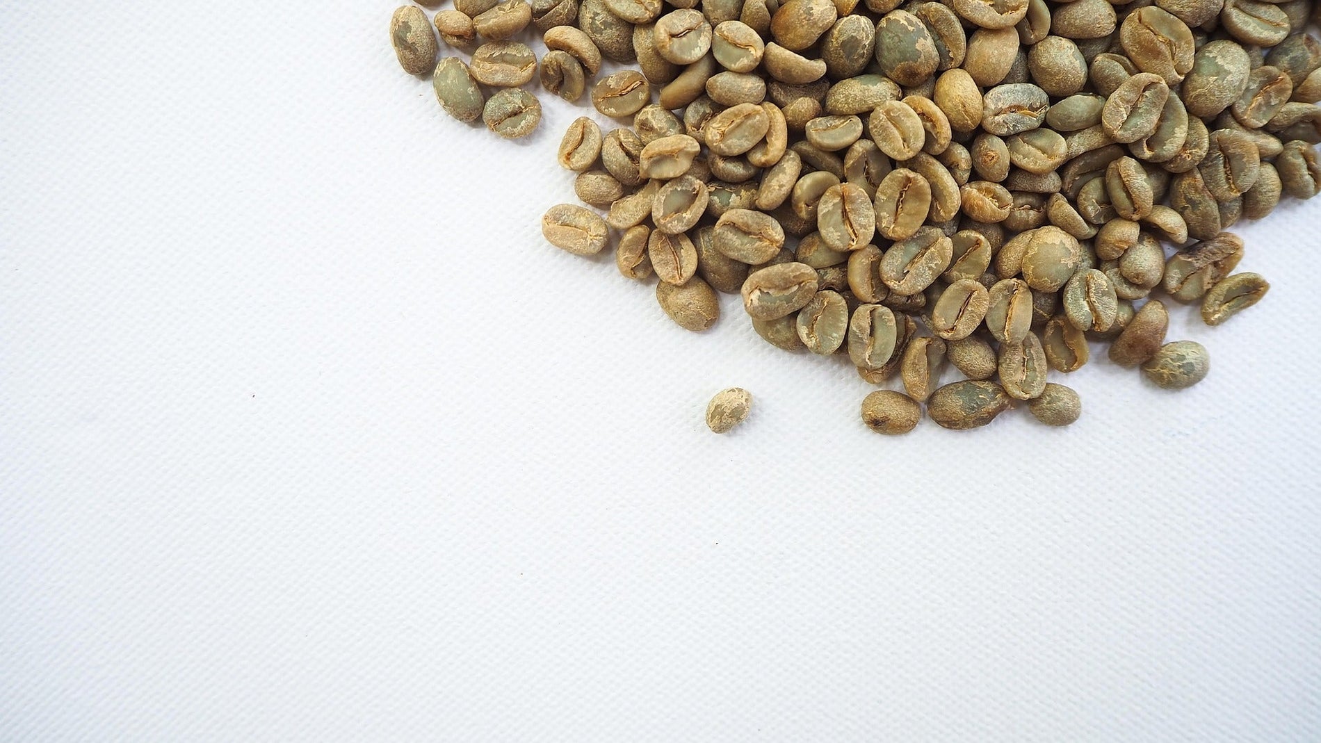 Grüner Kaffee: Sanft, frisch & voller Energie