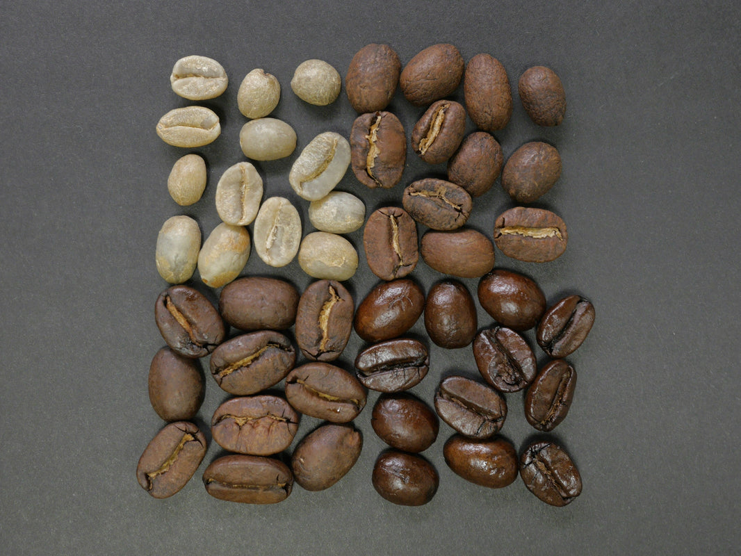 Kaffeesäure: Bitterstoff mit Super-Power