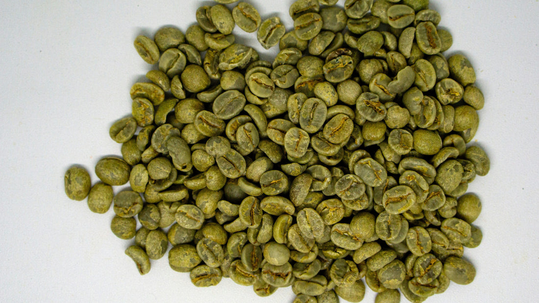Rohkaffee: Ausgangmaterial für den duftenden Bohnentrank