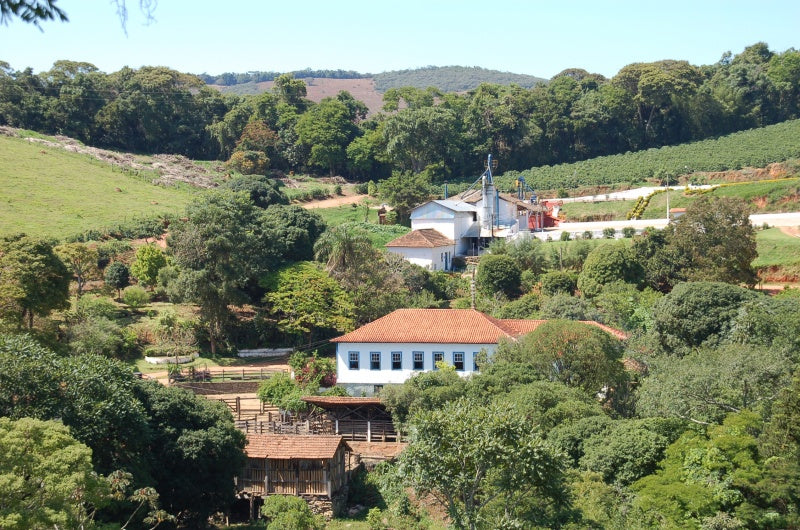 Anbau Gebiet in Brasilien von Brazil Fazenda Sertao Kaffee Kaffeebohnen